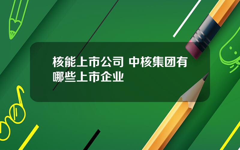 核能上市公司 中核集团有哪些上市企业